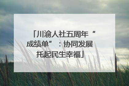 川渝人社五周年“成绩单”：协同发展托起民生幸福